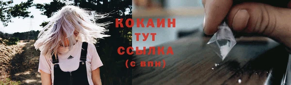 стафф Богданович