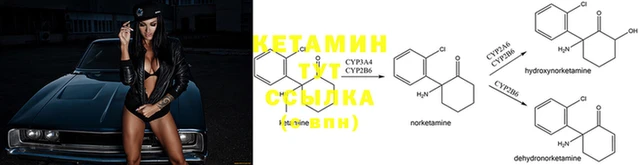 крисы Бронницы